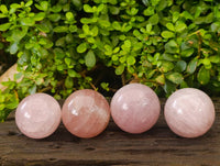 Polished Rose Quartz Spheres x 4 From Madagascar