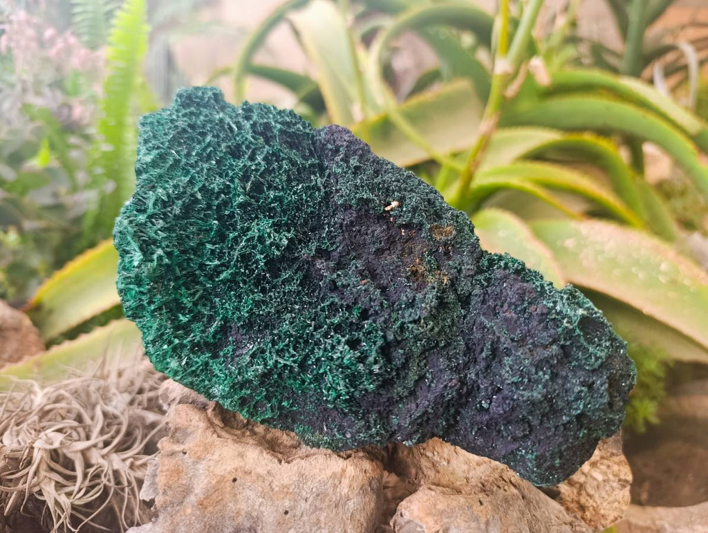Natural Silky Malachite Specimens x 2 From Kasompe, Congo - Toprock Gemstones and Minerals 