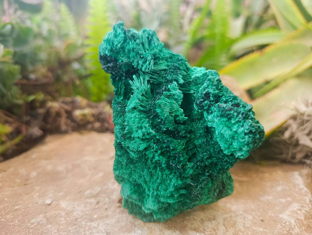 Natural Silky Malachite Specimens x 2 From Kasompe, Congo - Toprock Gemstones and Minerals 