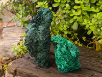 Natural Silky Malachite Specimens x 2 From Kasompe, Congo