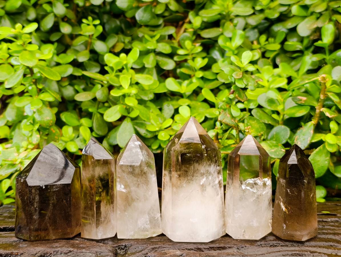 Polished Wispy Phatom Smokey Phantom Quartz Crystals x 6 From Madagascar - Toprock Gemstones and Minerals 