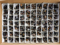 Natural Pyrope Garnet Crystals x 280 From Zimbabwe