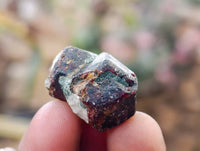 Natural Pyrope Garnet Crystals x 280 From Zimbabwe