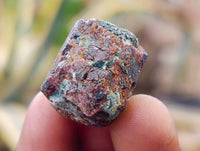 Natural Pyrope Garnet Crystals x 280 From Zimbabwe