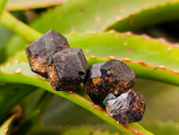 Natural Pyrope Garnet Crystals x 280 From Zimbabwe