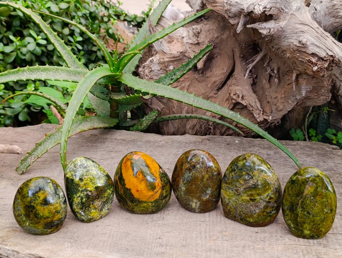 Polished Green Opal Standing Free Forms x 6 From Antsirabe, Madagascar - Toprock Gemstones and Minerals 
