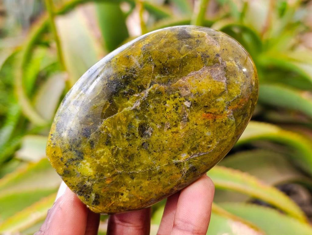 Polished Green Opal Standing Free Forms x 6 From Antsirabe, Madagascar - Toprock Gemstones and Minerals 