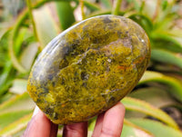 Polished Green Opal Standing Free Forms x 6 From Antsirabe, Madagascar