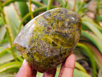 Polished Green Opal Standing Free Forms x 6 From Antsirabe, Madagascar