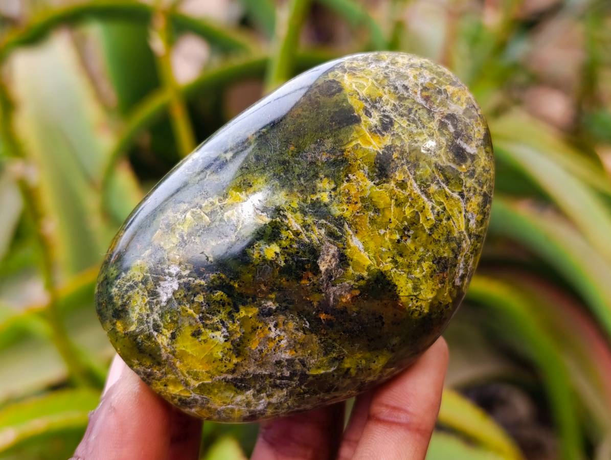 Polished Green Opal Standing Free Forms x 6 From Antsirabe, Madagascar - Toprock Gemstones and Minerals 