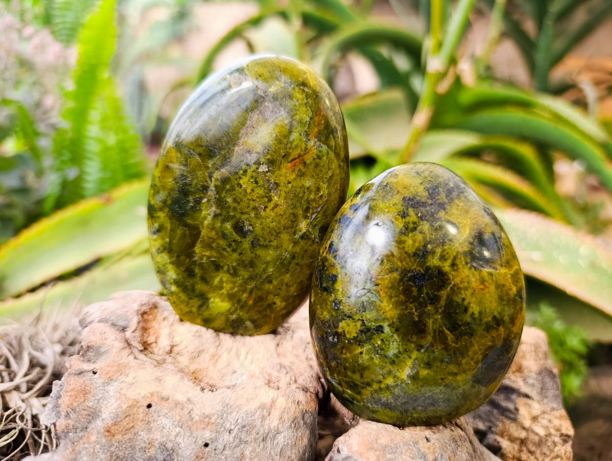 Polished Green Opal Standing Free Forms x 6 From Antsirabe, Madagascar - Toprock Gemstones and Minerals 