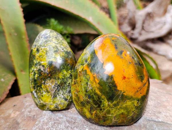 Polished Green Opal Standing Free Forms x 6 From Antsirabe, Madagascar