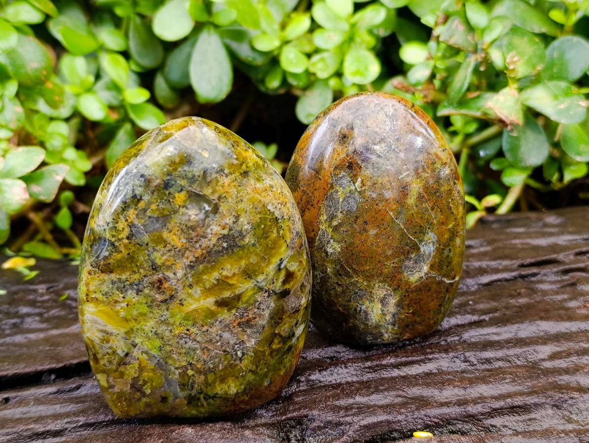 Polished Green Opal Standing Free Forms x 6 From Antsirabe, Madagascar - Toprock Gemstones and Minerals 