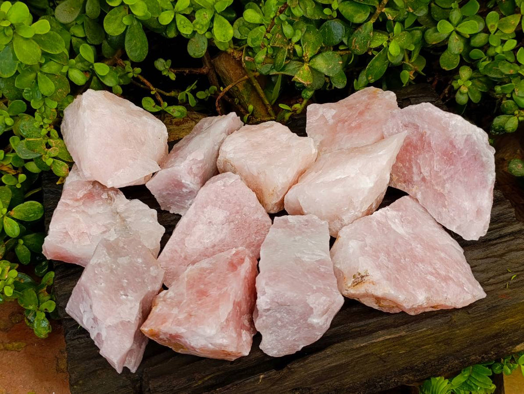 Natural Cobbed Rose Quartz Specimens x 12 From Northern Cape, South Africa - Toprock Gemstones and Minerals 