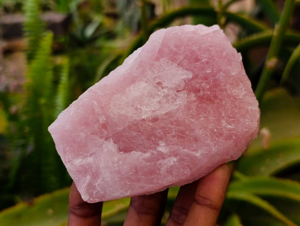 Natural Cobbed Rose Quartz Specimens x 12 From Northern Cape, South Africa - Toprock Gemstones and Minerals 