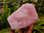 Natural Cobbed Rose Quartz Specimens x 12 From Northern Cape, South Africa - Toprock Gemstones and Minerals 