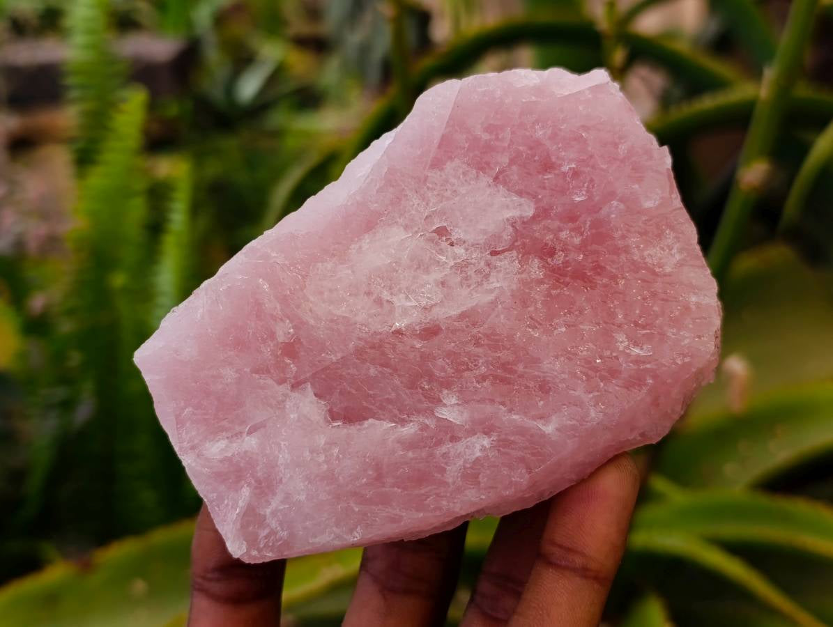 Natural Cobbed Rose Quartz Specimens x 12 From Northern Cape, South Africa - Toprock Gemstones and Minerals 