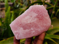 Natural Cobbed Rose Quartz Specimens x 12 From Northern Cape, South Africa