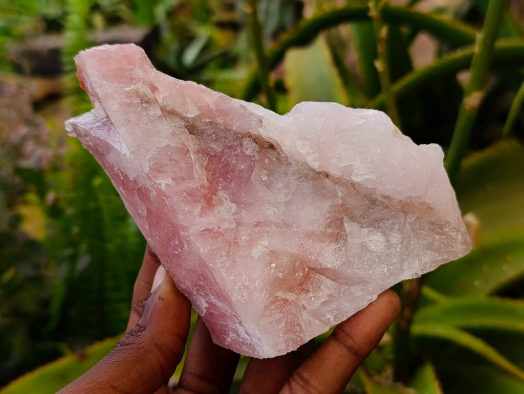 Natural Cobbed Rose Quartz Specimens x 12 From Northern Cape, South Africa - Toprock Gemstones and Minerals 