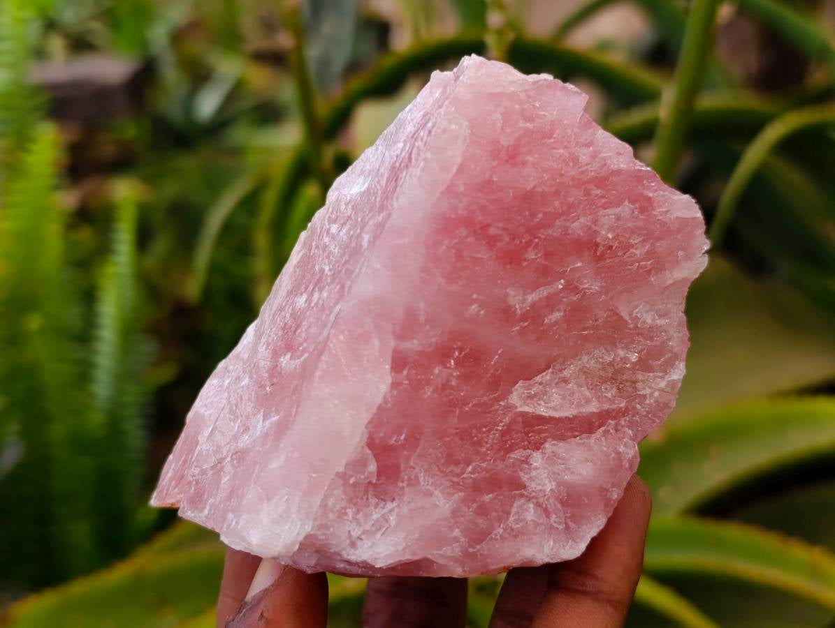 Natural Cobbed Rose Quartz Specimens x 12 From Northern Cape, South Africa - Toprock Gemstones and Minerals 