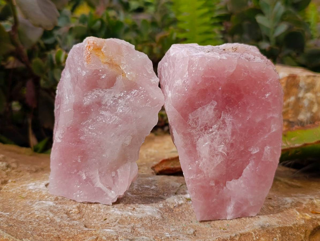Natural Cobbed Rose Quartz Specimens x 12 From Northern Cape, South Africa - Toprock Gemstones and Minerals 