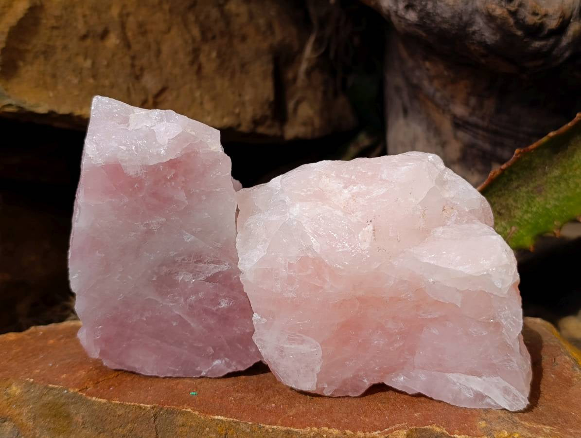 Natural Cobbed Rose Quartz Specimens x 12 From Northern Cape, South Africa - Toprock Gemstones and Minerals 