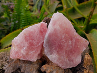 Natural Cobbed Rose Quartz Specimens x 12 From Northern Cape, South Africa