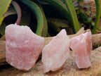 Natural Cobbed Rose Quartz Specimens x 12 From Northern Cape, South Africa - Toprock Gemstones and Minerals 