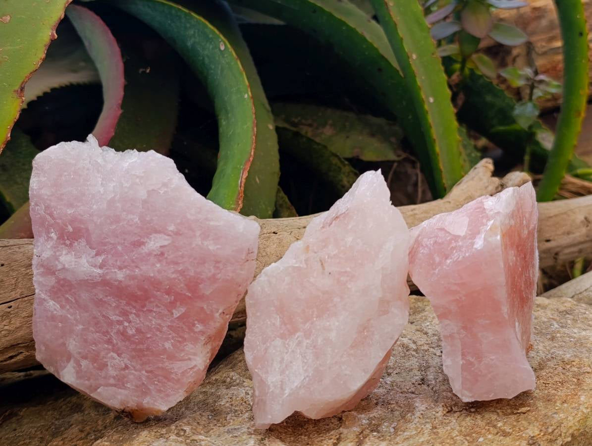 Natural Cobbed Rose Quartz Specimens x 12 From Northern Cape, South Africa - Toprock Gemstones and Minerals 