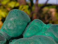 Natural Botryoidal Malachite Specimens x 2 From Congo