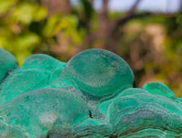 Natural Botryoidal Malachite Specimens x 2 From Congo