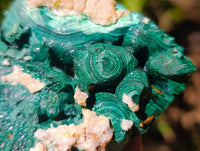 Natural Botryoidal Malachite Specimens x 2 From Congo