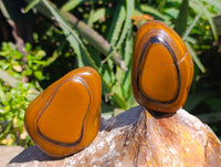 Polished Tigers Eye Free Forms x 4 From South Africa