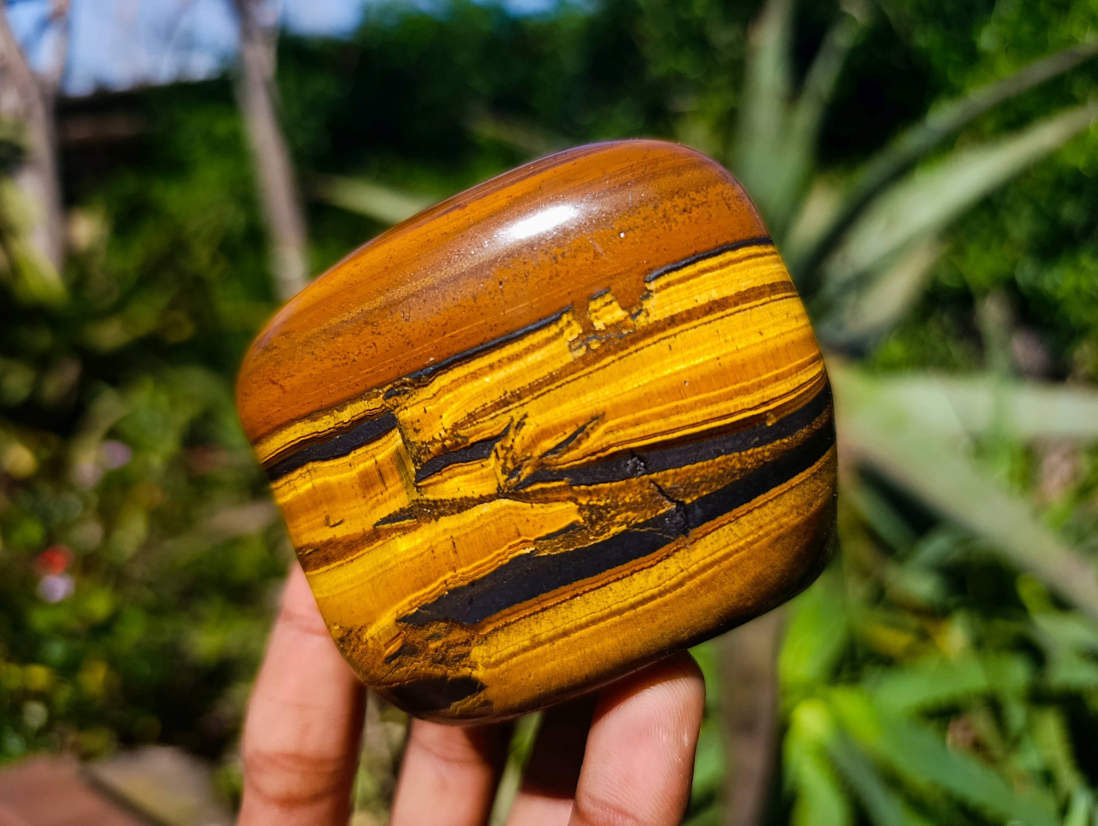 Polished Tigers Eye Free Forms x 4 From South Africa - Toprock Gemstones and Minerals 