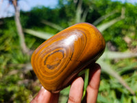 Polished Tigers Eye Free Forms x 4 From South Africa