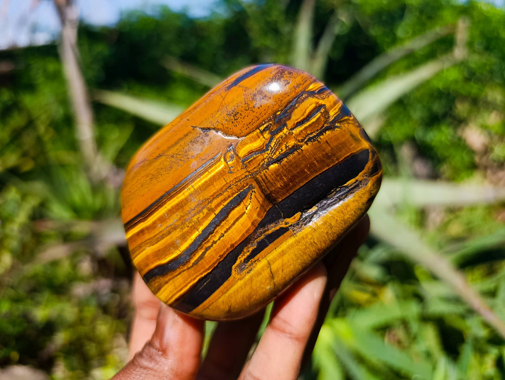 Polished Tigers Eye Free Forms x 4 From South Africa - Toprock Gemstones and Minerals 