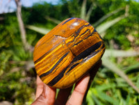 Polished Tigers Eye Free Forms x 4 From South Africa
