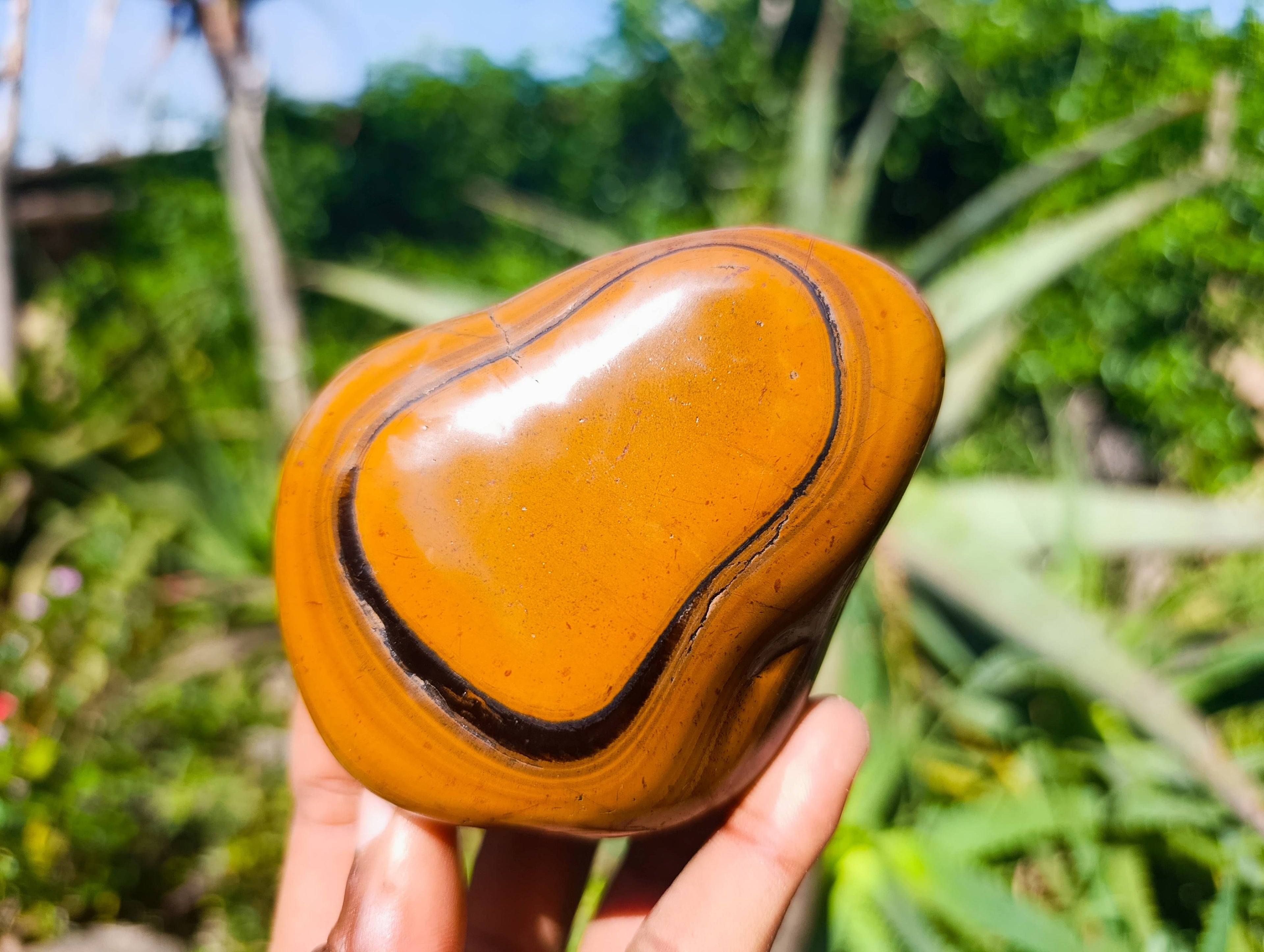 Polished Tigers Eye Free Forms x 4 From South Africa - Toprock Gemstones and Minerals 