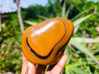 Polished Tigers Eye Free Forms x 4 From South Africa