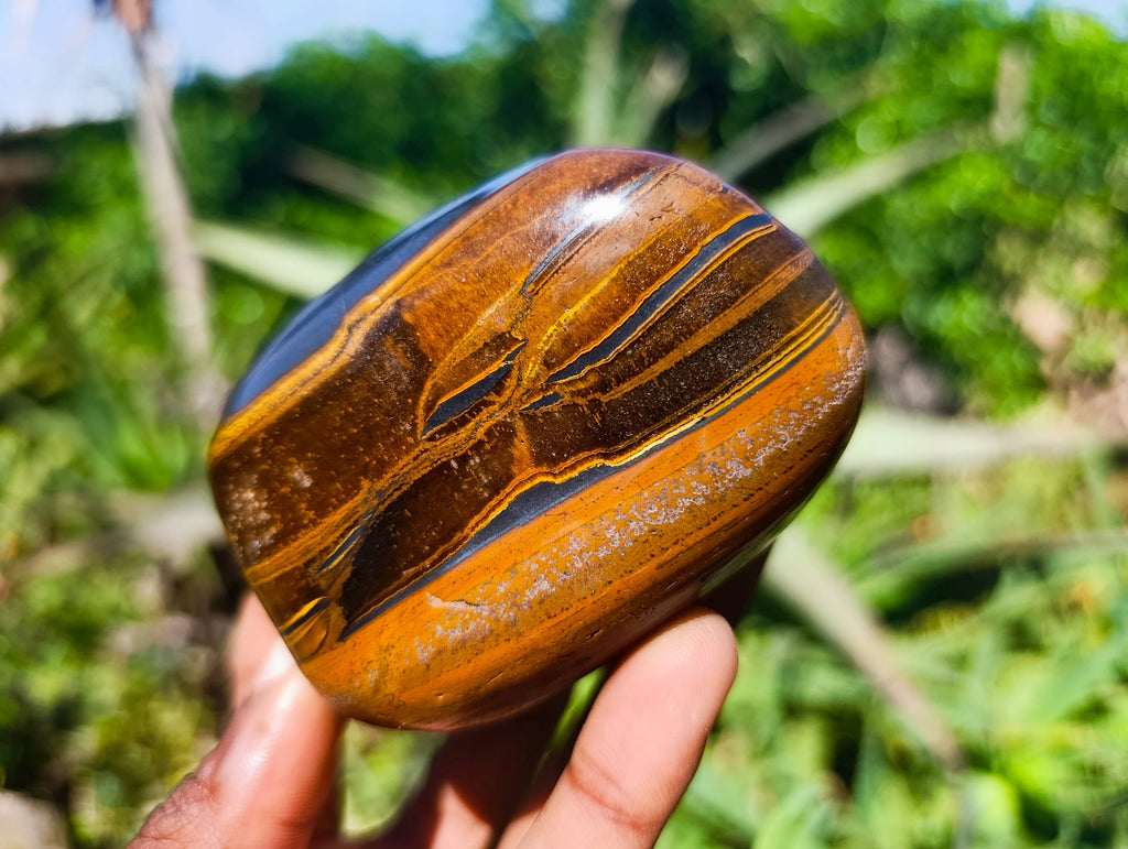 Polished Tigers Eye Free Forms x 4 From South Africa - Toprock Gemstones and Minerals 