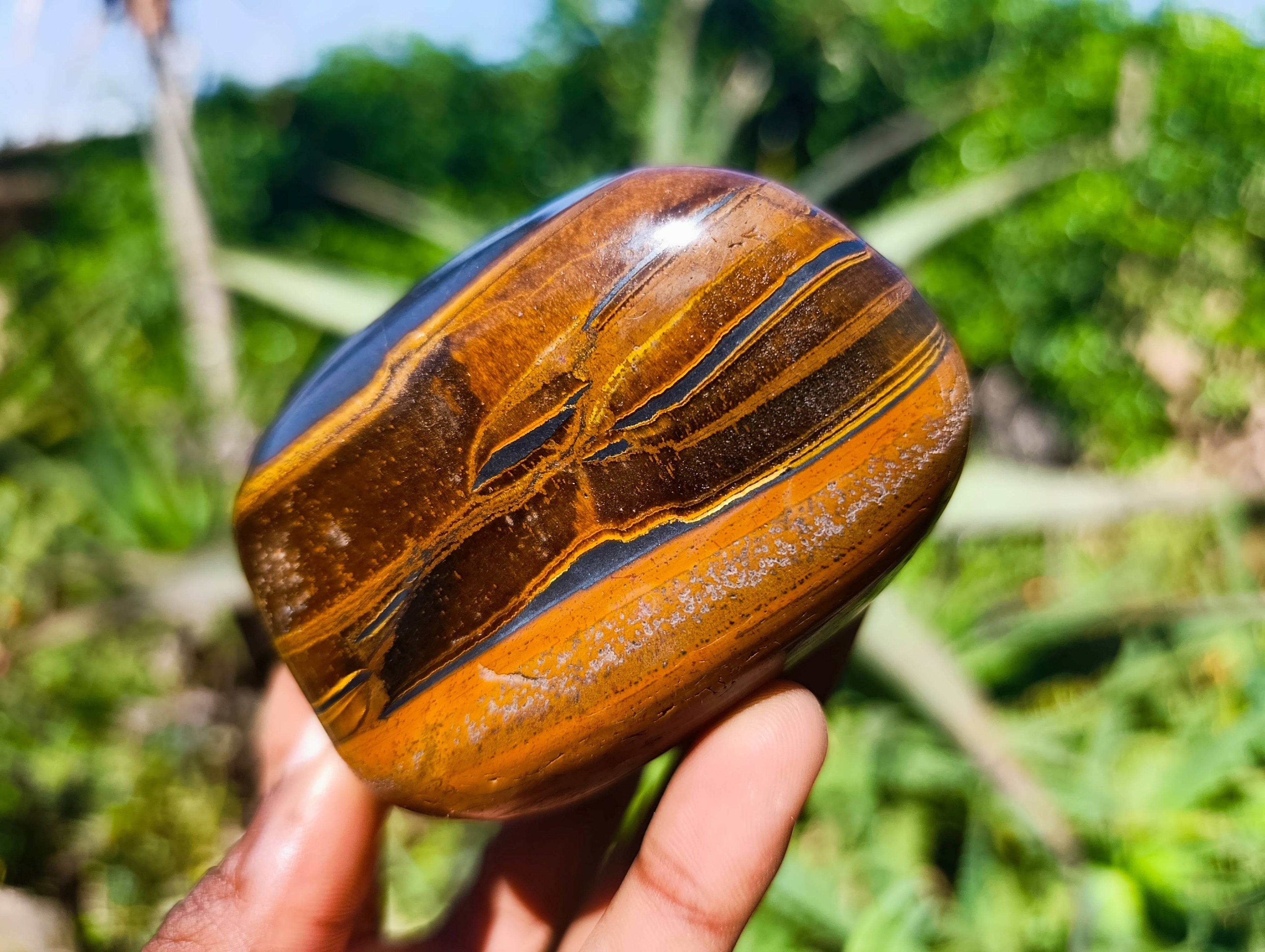Polished Tigers Eye Free Forms x 4 From South Africa - Toprock Gemstones and Minerals 