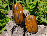 Polished Tigers Eye Free Forms x 4 From South Africa