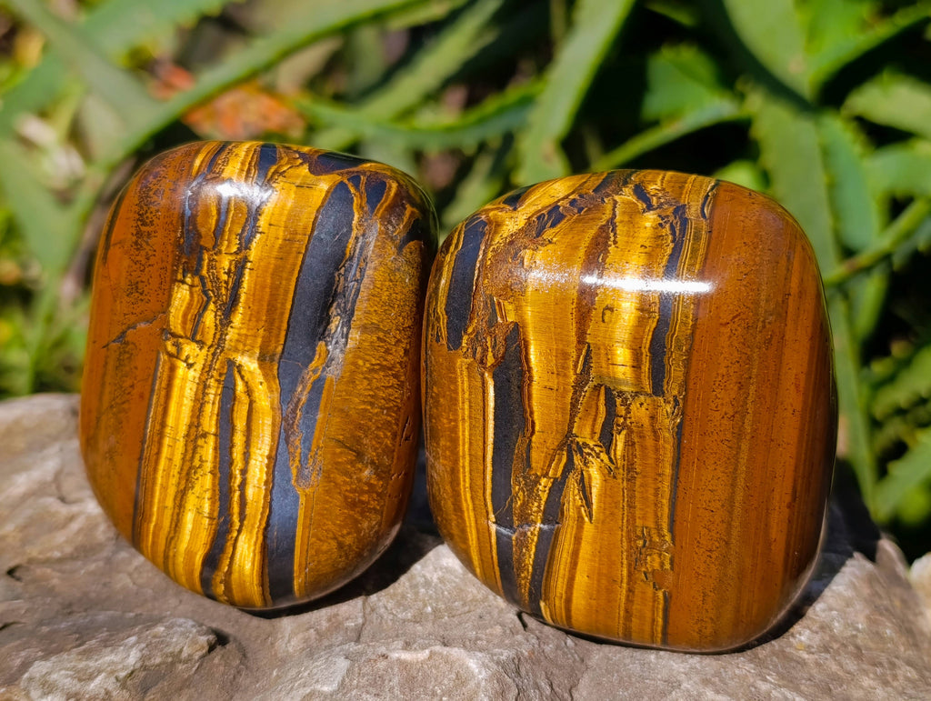 Polished Tigers Eye Free Forms x 4 From South Africa - Toprock Gemstones and Minerals 