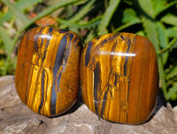 Polished Tigers Eye Free Forms x 4 From South Africa