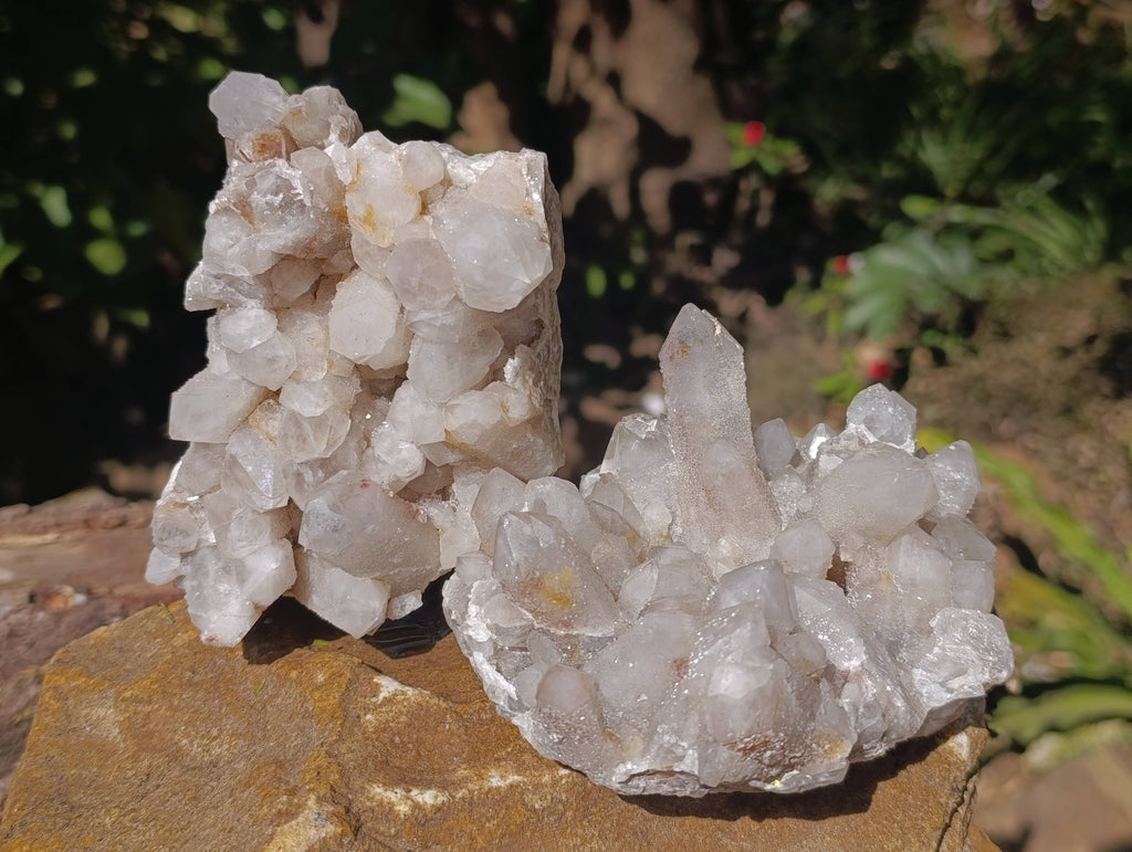 Natural Fairy Spirit Quartz Clusters x 2 From South Africa - Toprock Gemstones and Minerals 