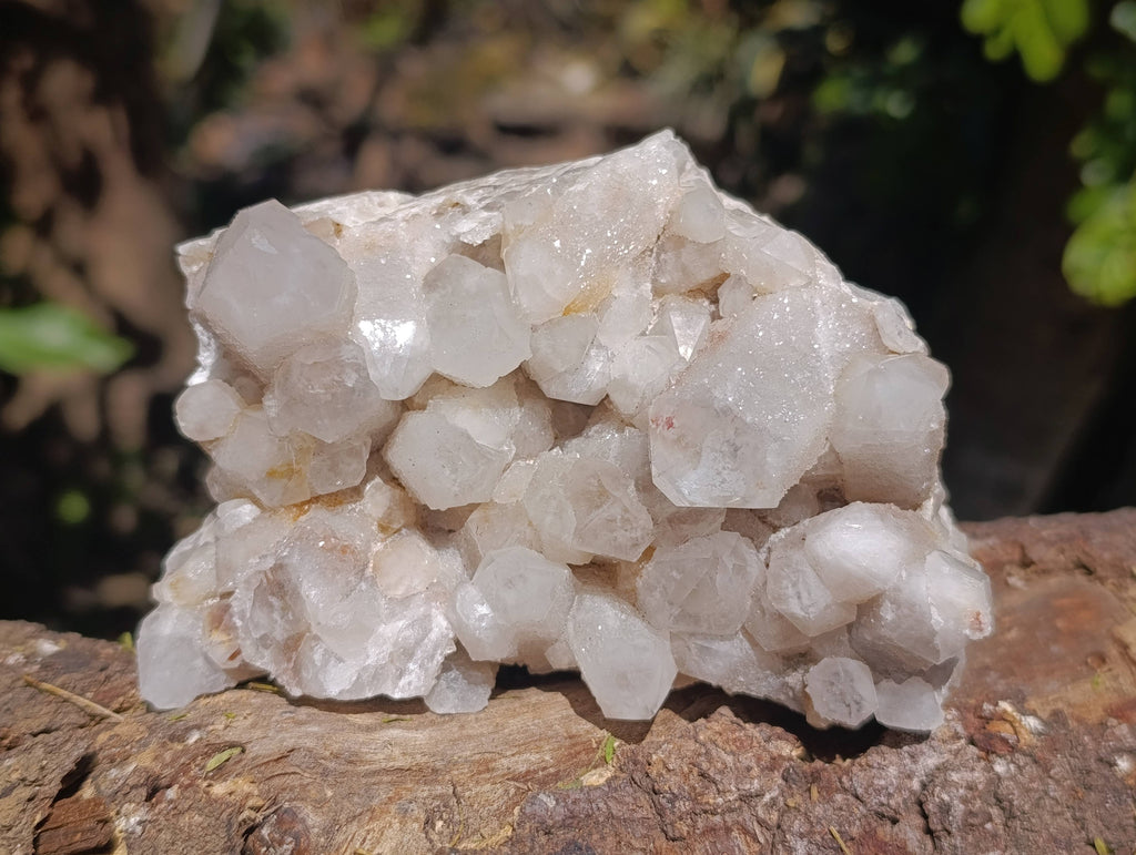 Natural Fairy Spirit Quartz Clusters x 2 From South Africa - Toprock Gemstones and Minerals 