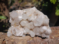 Natural Fairy Spirit Quartz Clusters x 2 From South Africa