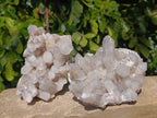Natural Fairy Spirit Quartz Clusters x 2 From South Africa - Toprock Gemstones and Minerals 