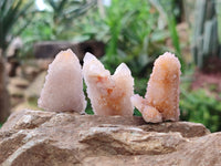 Natural Spirit Quartz Crystals x 35 From South Africa