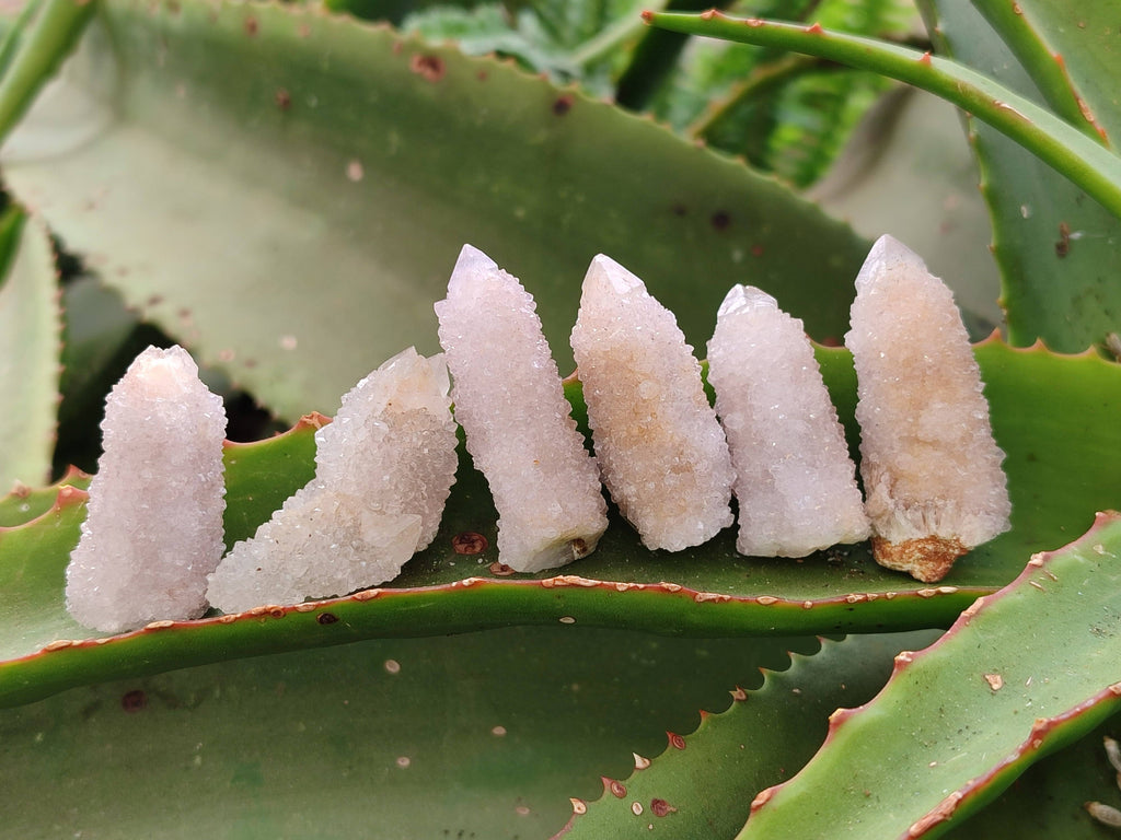 Natural Spirit Quartz Crystals x 35 From South Africa - Toprock Gemstones and Minerals 